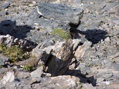 100 POUR CENT PUR HAUTES ALPES_000012